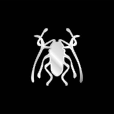 Beetle Insect Trictenotomidae silver plated metallic icon clipart