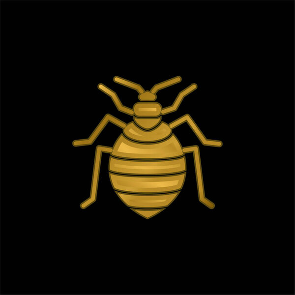 Bed Bug gold plated metalic icon or logo vector