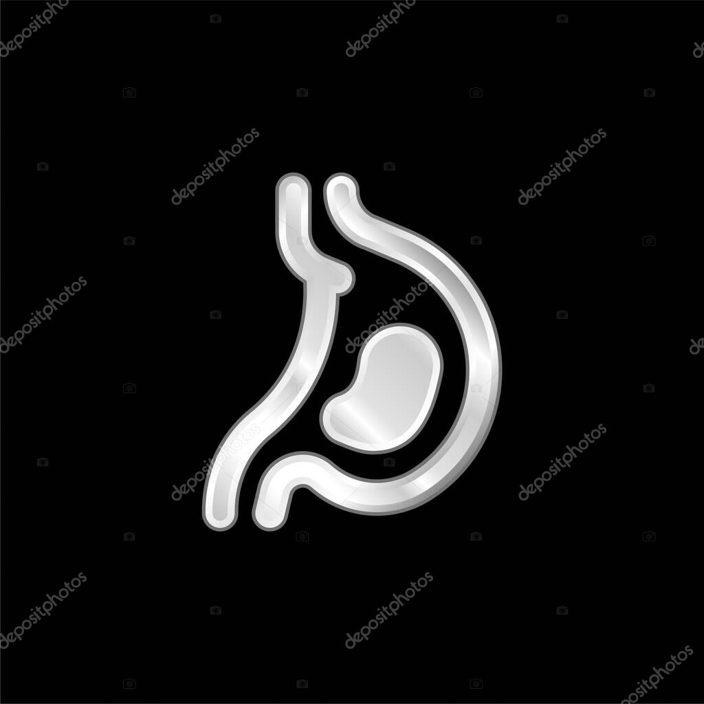 Acid silver plated metallic icon