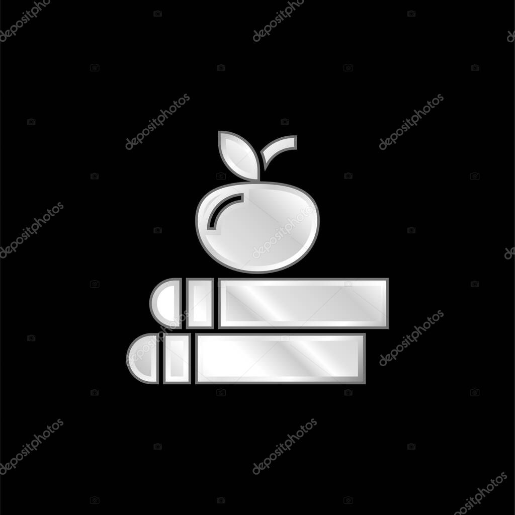 Book silver plated metallic icon