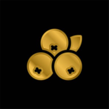 Acai altın kaplama metalik simge veya logo vektörü
