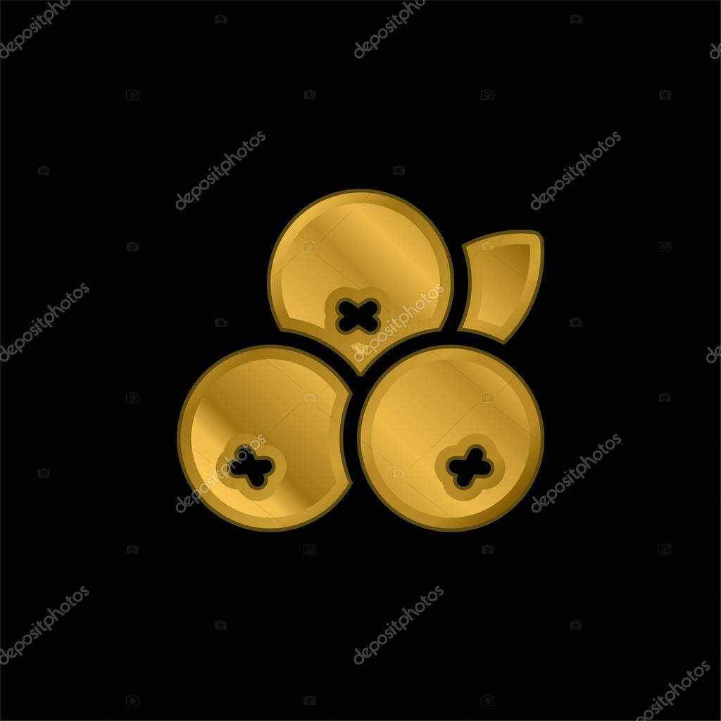 Acai gold plated metalic icon or logo vector