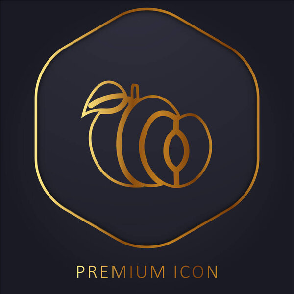 Логотип или иконка золотой линии абрикоса