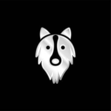 Border Collie Head gümüş kaplama metalik simge