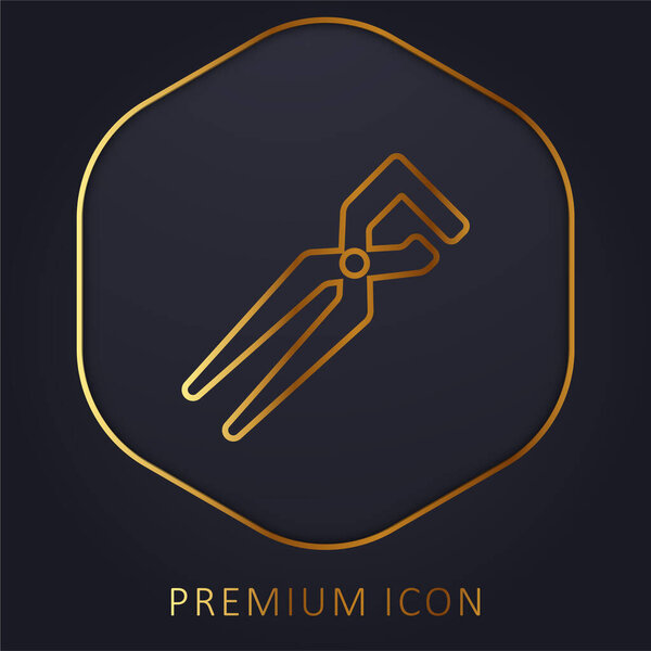 Большой клиппер золотой линии премиум логотип или значок