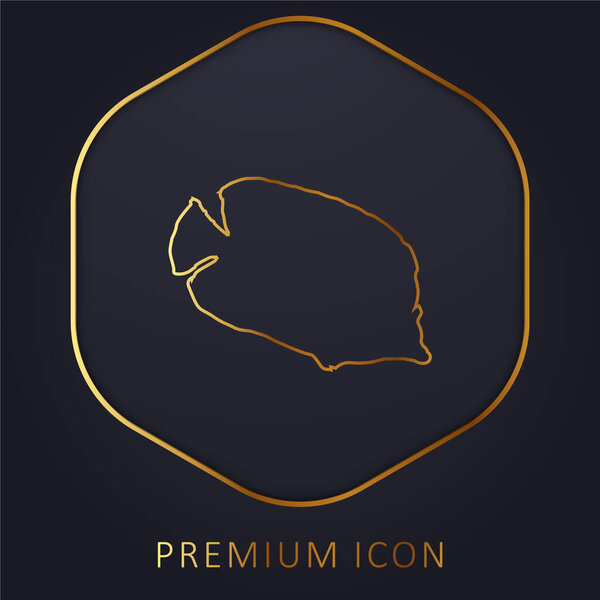 Bannerfish Silhouette golden line premium logo or icon