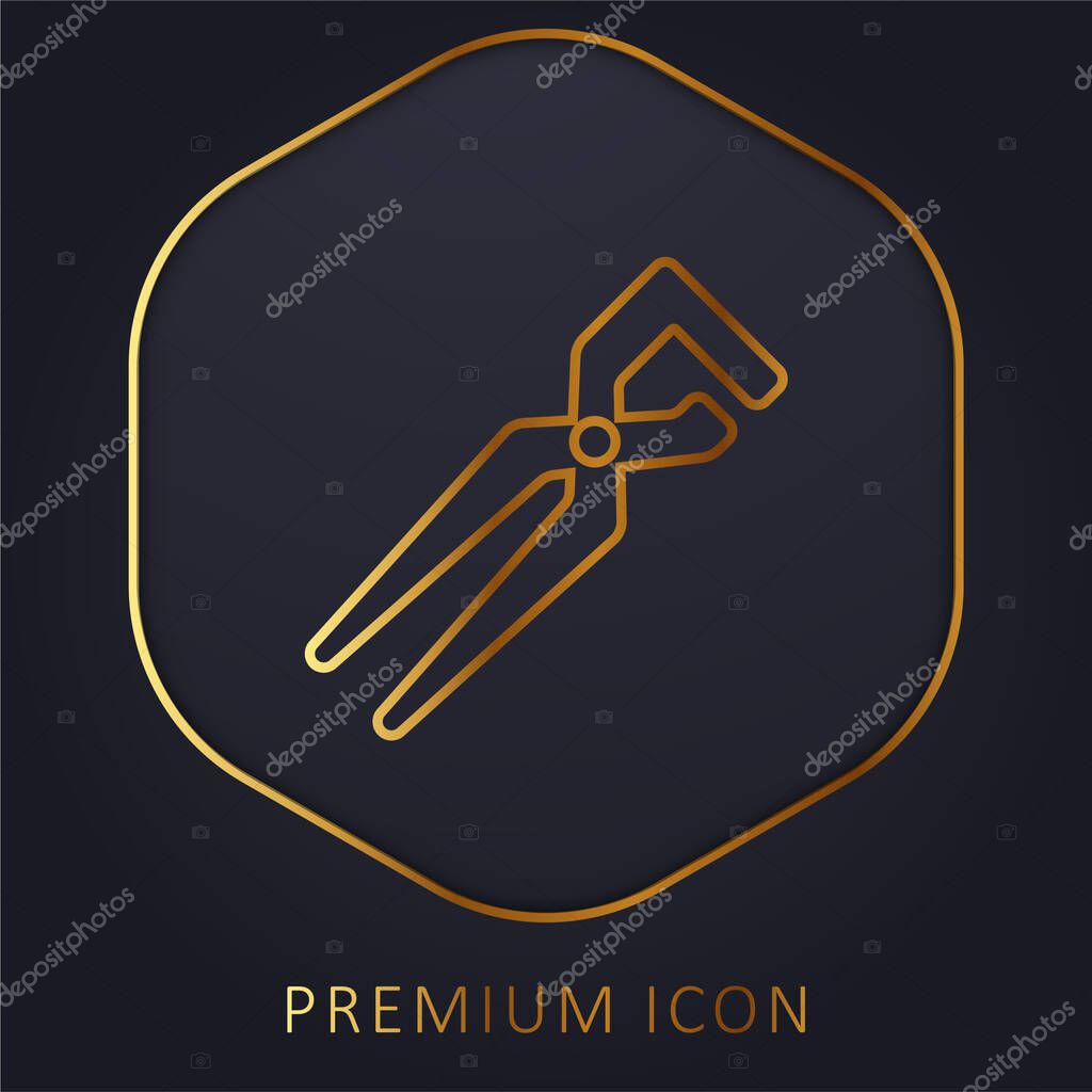 Big Clippers golden line premium logo or icon
