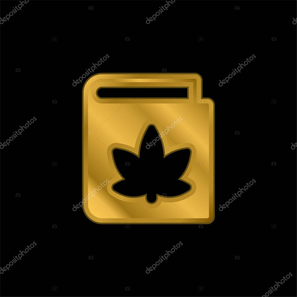 Book gold plated metalic icon or logo vector