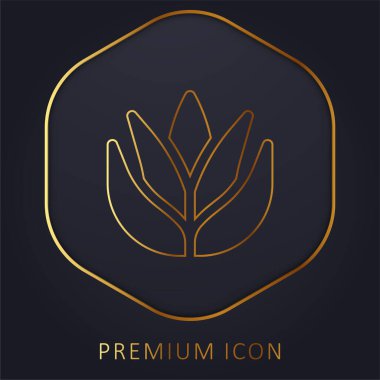 Aloe Vera altın çizgi prim logosu veya simgesi