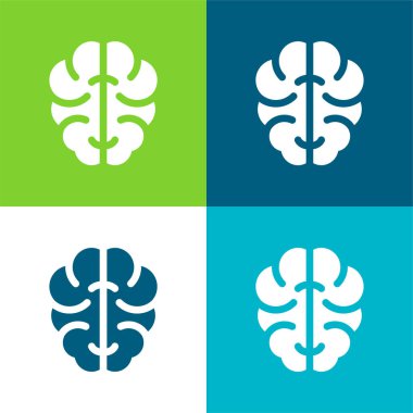 Beyin Düzlüğü 4 renk en küçük simge kümesi