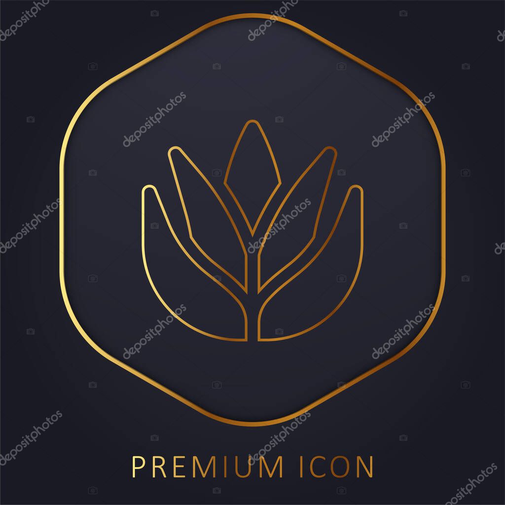 Aloe Vera golden line premium logo or icon