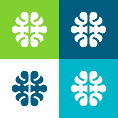 Beyin Düzlüğü 4 renk en küçük simge kümesi