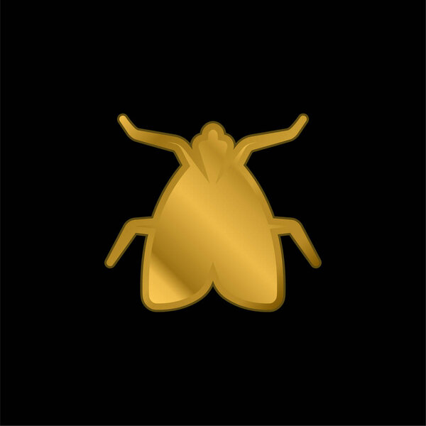 Big Fly gold plated metalic icon or logo vector