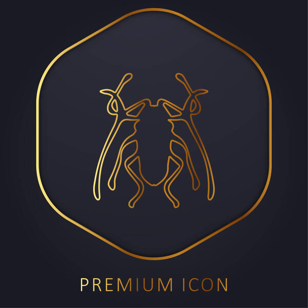 Beetle Insect Trictenotomidae golden line premium logo or icon