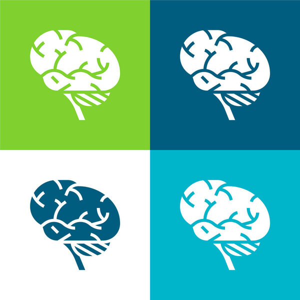 Brains Flat four color minimal icon set