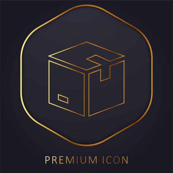 Box golden line premium logo or icon
