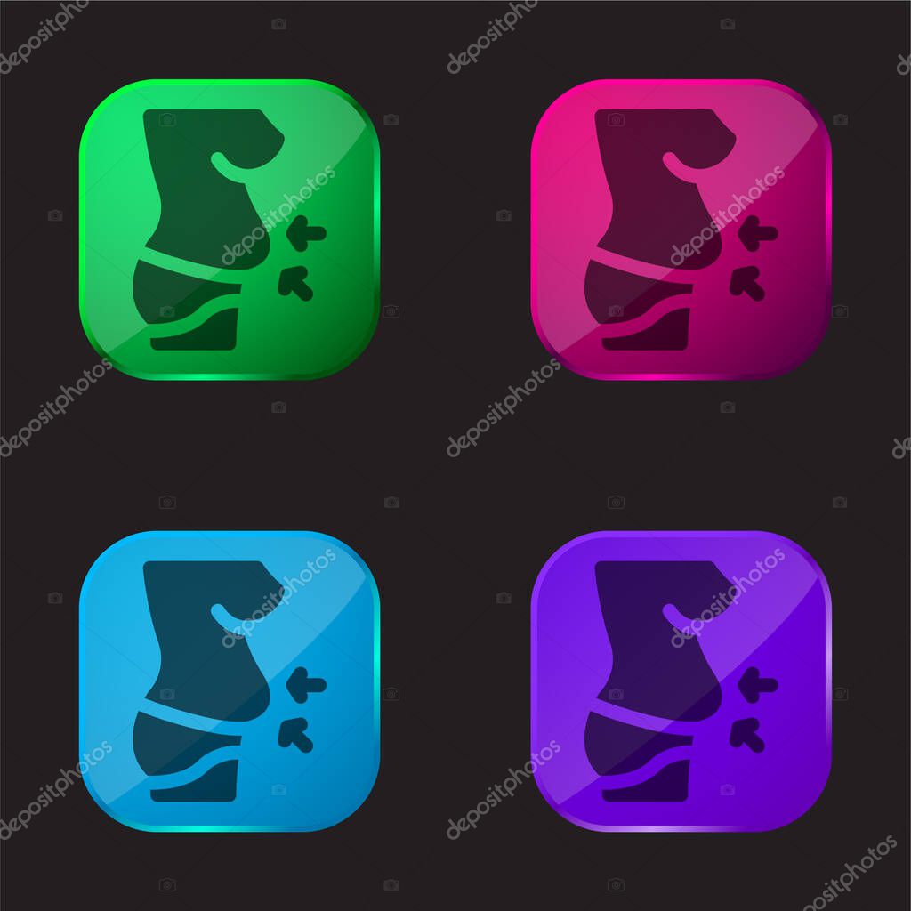 Belly four color glass button icon