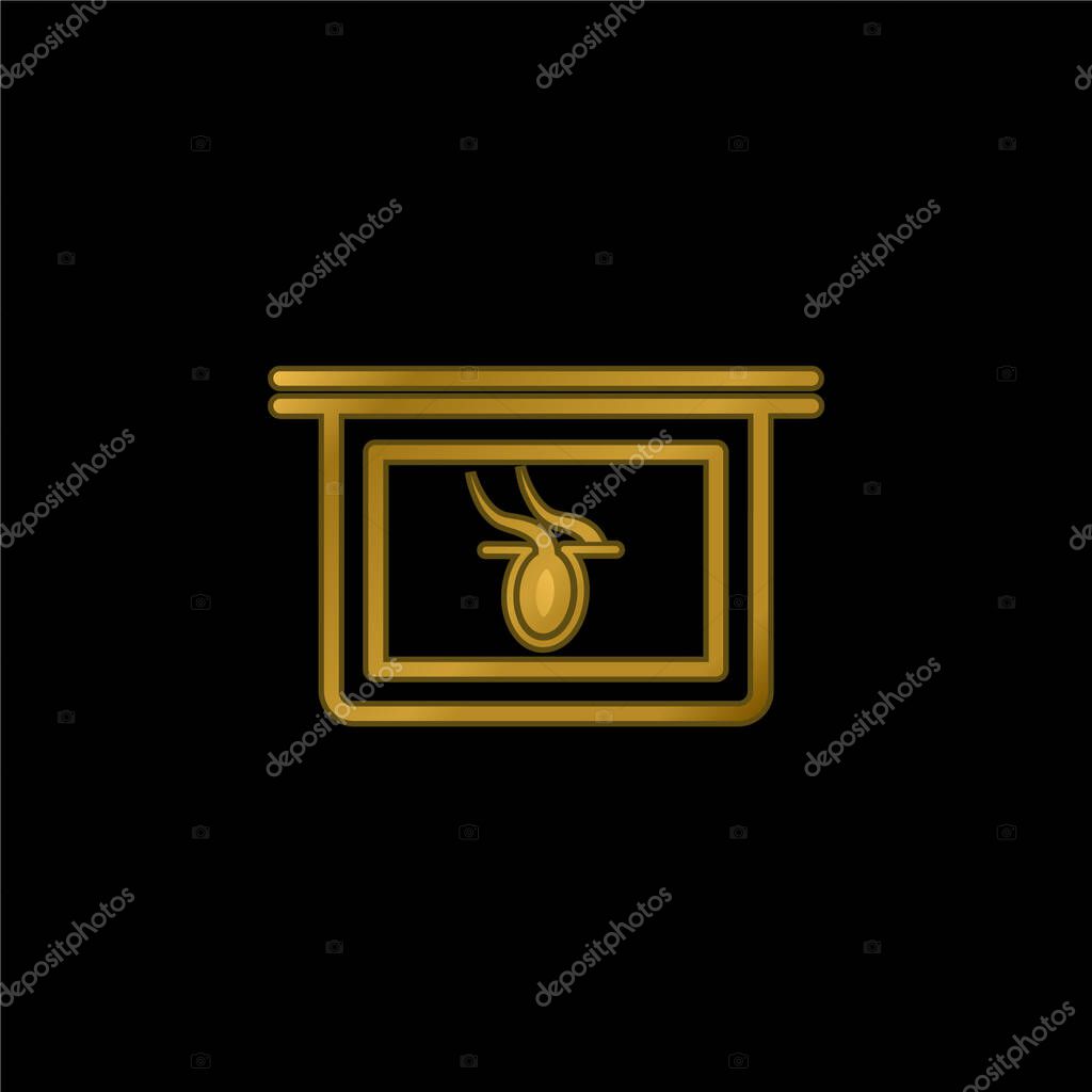 Body Part X Ray Internal Vision gold plated metalic icon or logo vector
