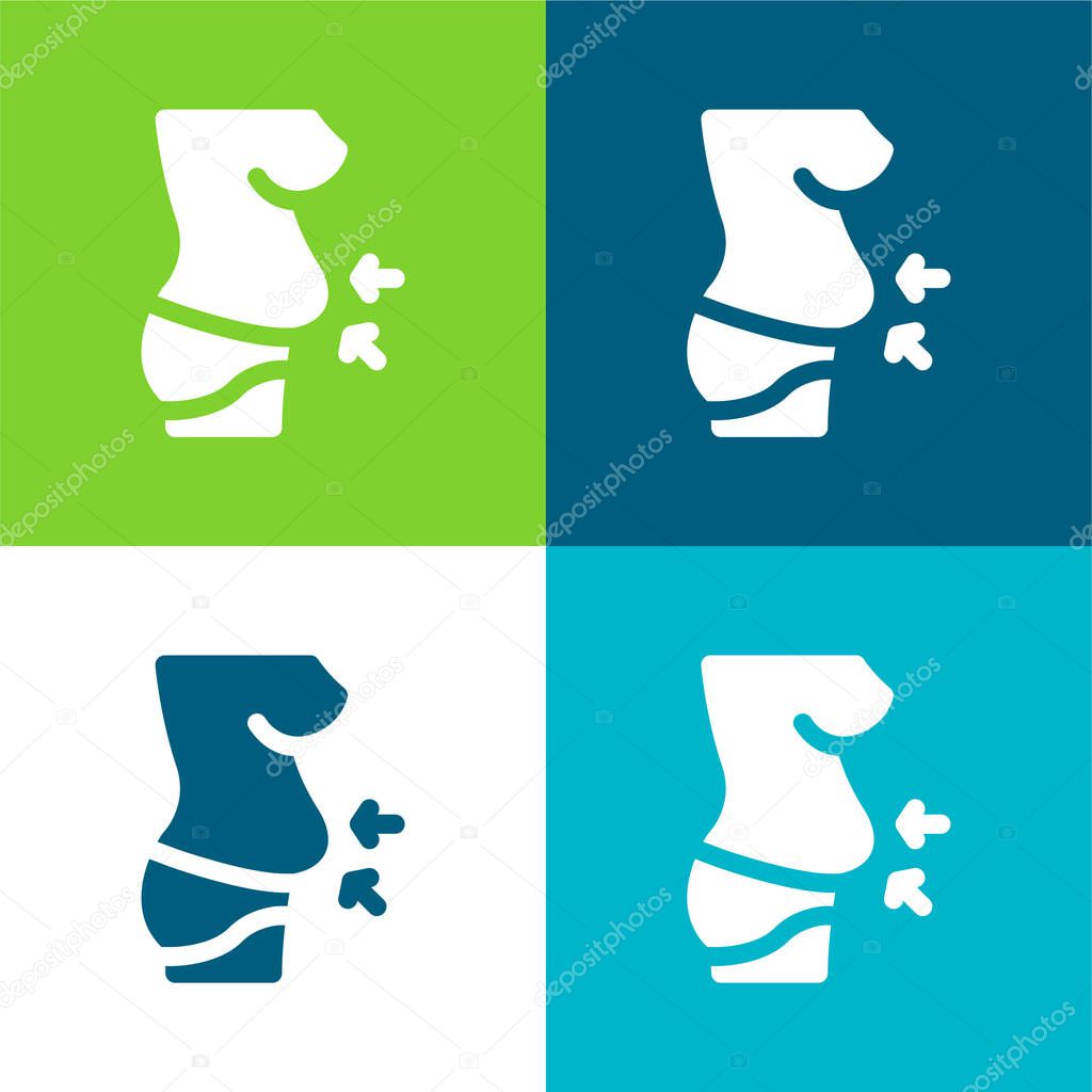 Belly Flat four color minimal icon set