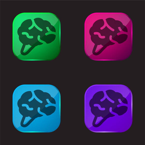 Brain four color glass button icon