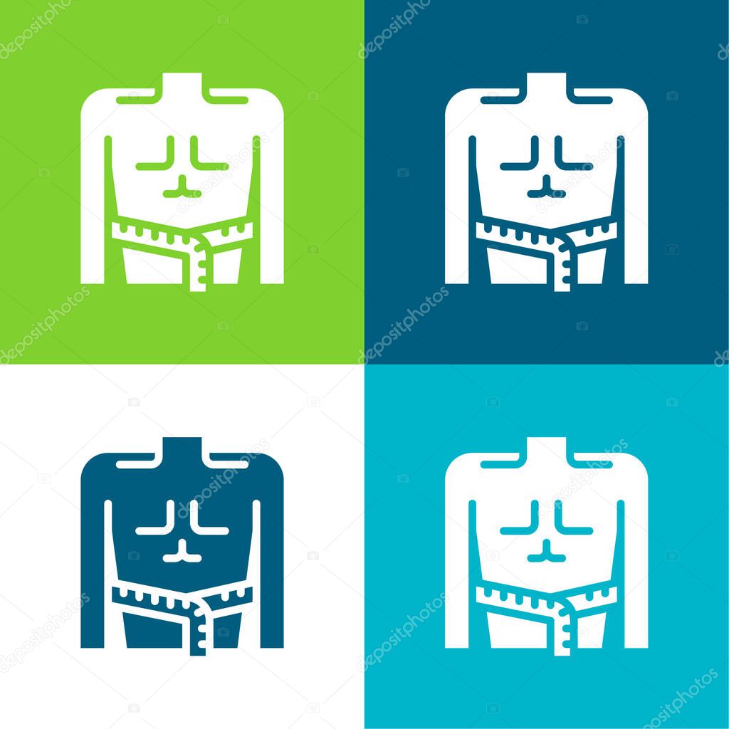 Body Mass Flat four color minimal icon set