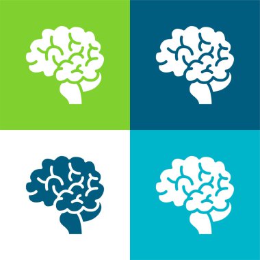 Beyin Düzlüğü 4 renk en küçük simge kümesi