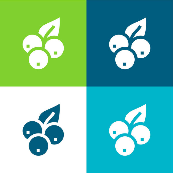 Blueberry Flat four color minimal icon set
