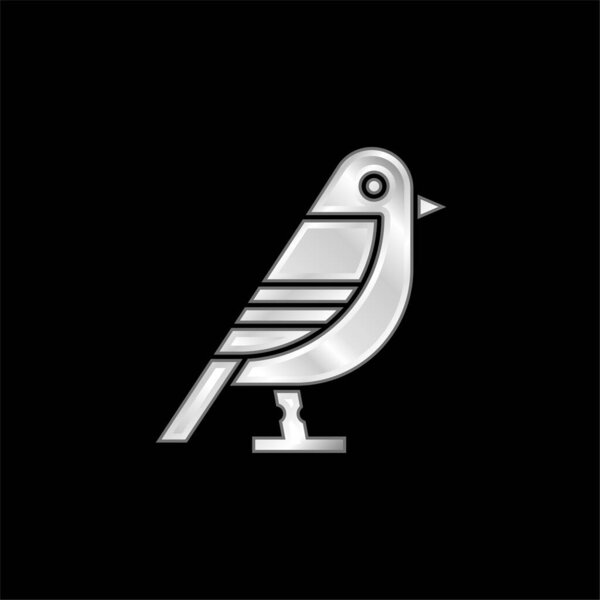 Серебряно-птичий икона