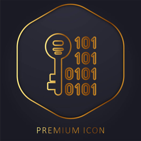 Binary golden line premium logo or icon