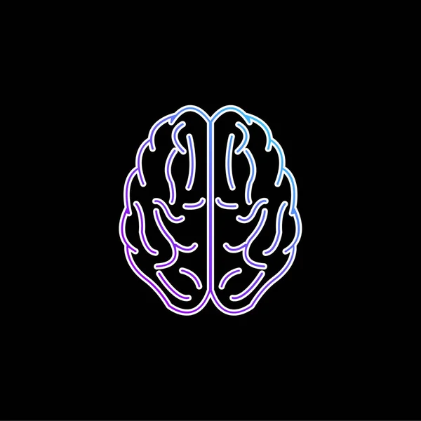 Brain Upper View Obrys Blue Gradient Vector Icon — Stockový vektor