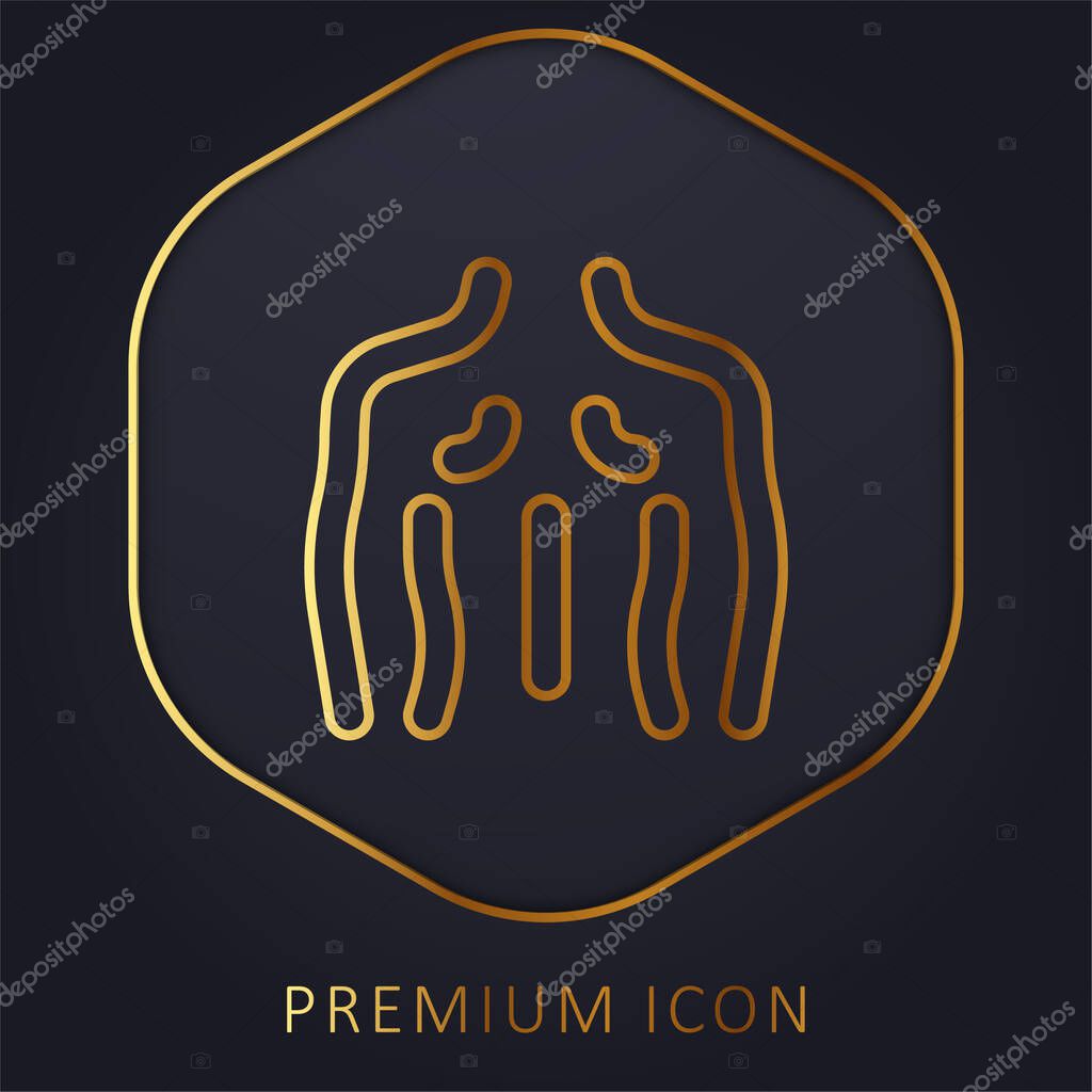 Back golden line premium logo or icon