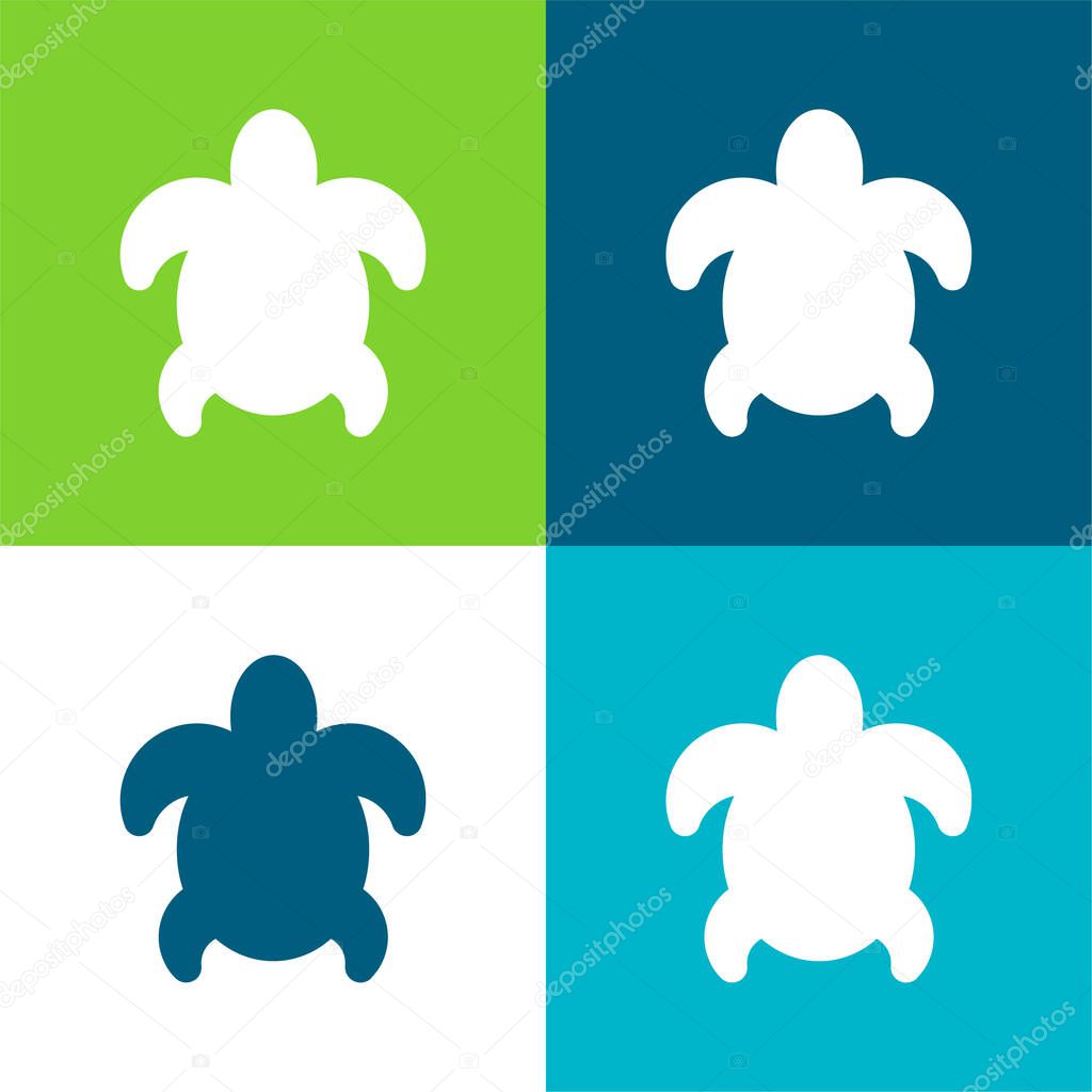 Big Turtle Flat four color minimal icon set