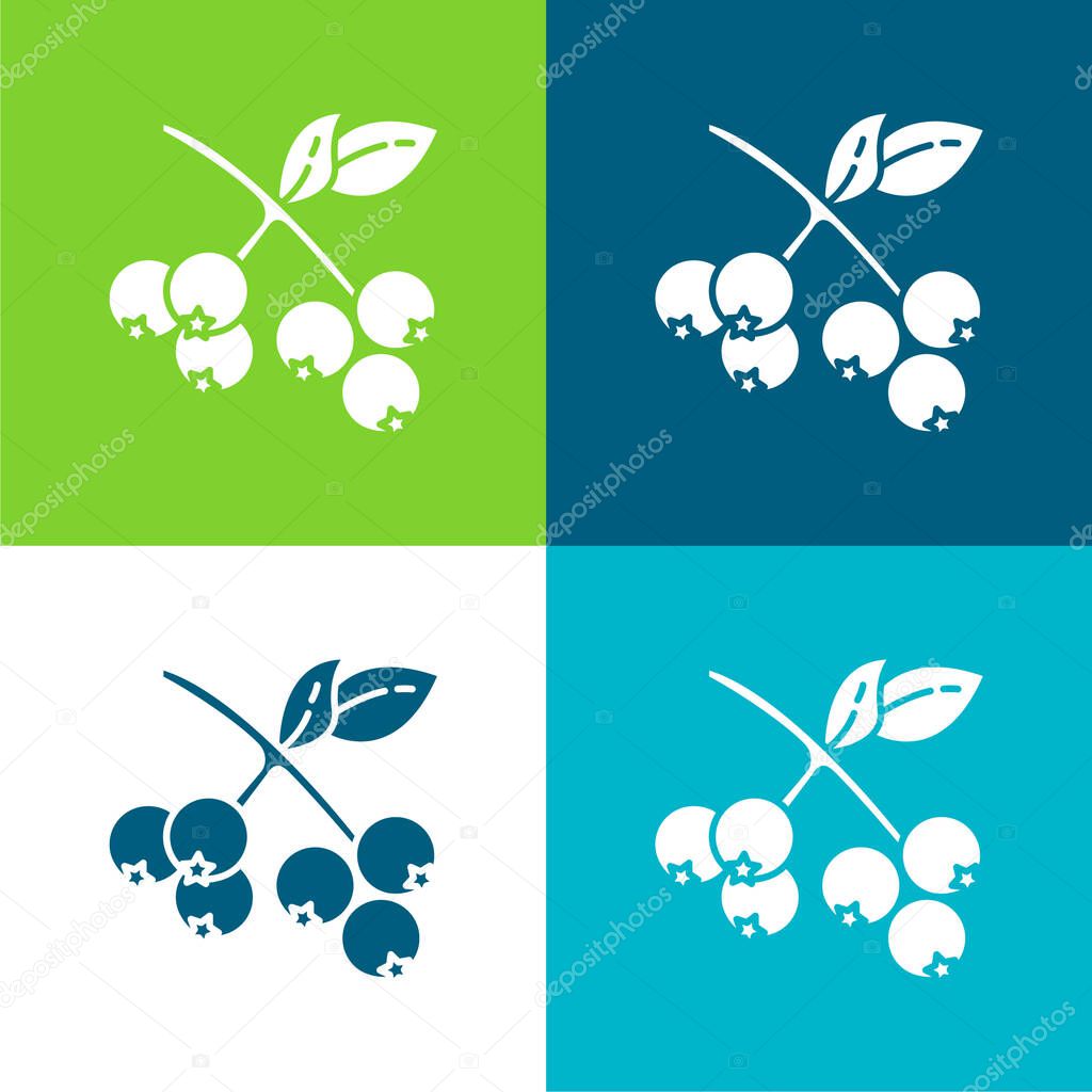 Berries Flat four color minimal icon set