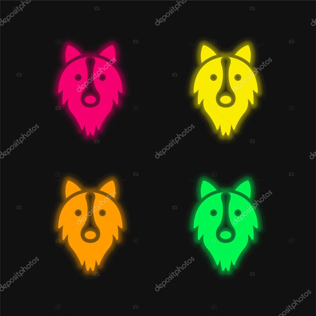 Border Collie Head four color glowing neon vector icon