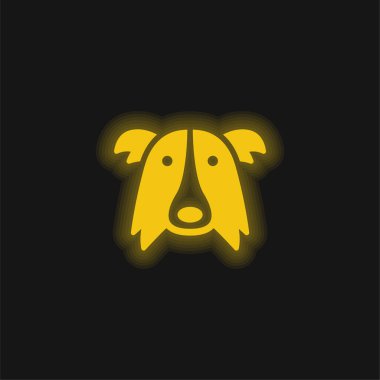 Sınır Collie Köpek Başı Sarı parlak neon simgesi