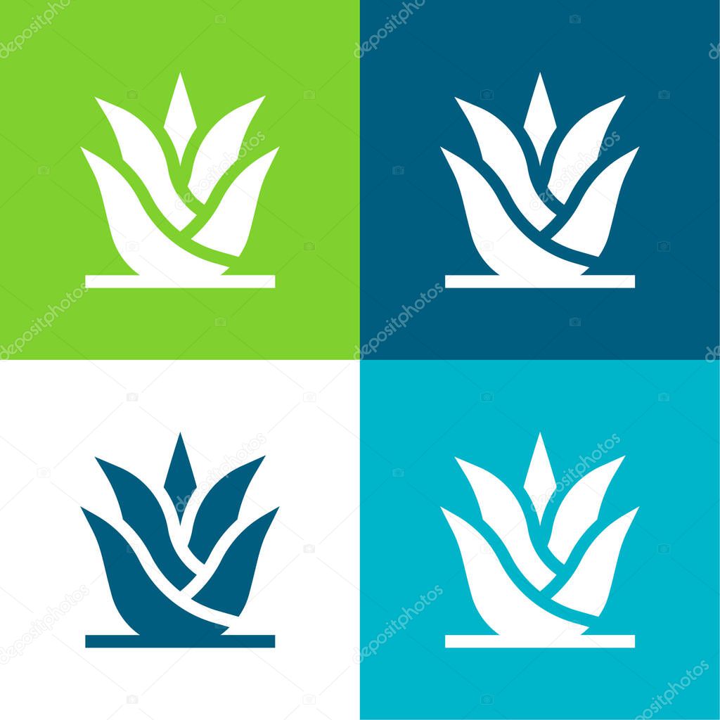 Aloe Vera Flat four color minimal icon set
