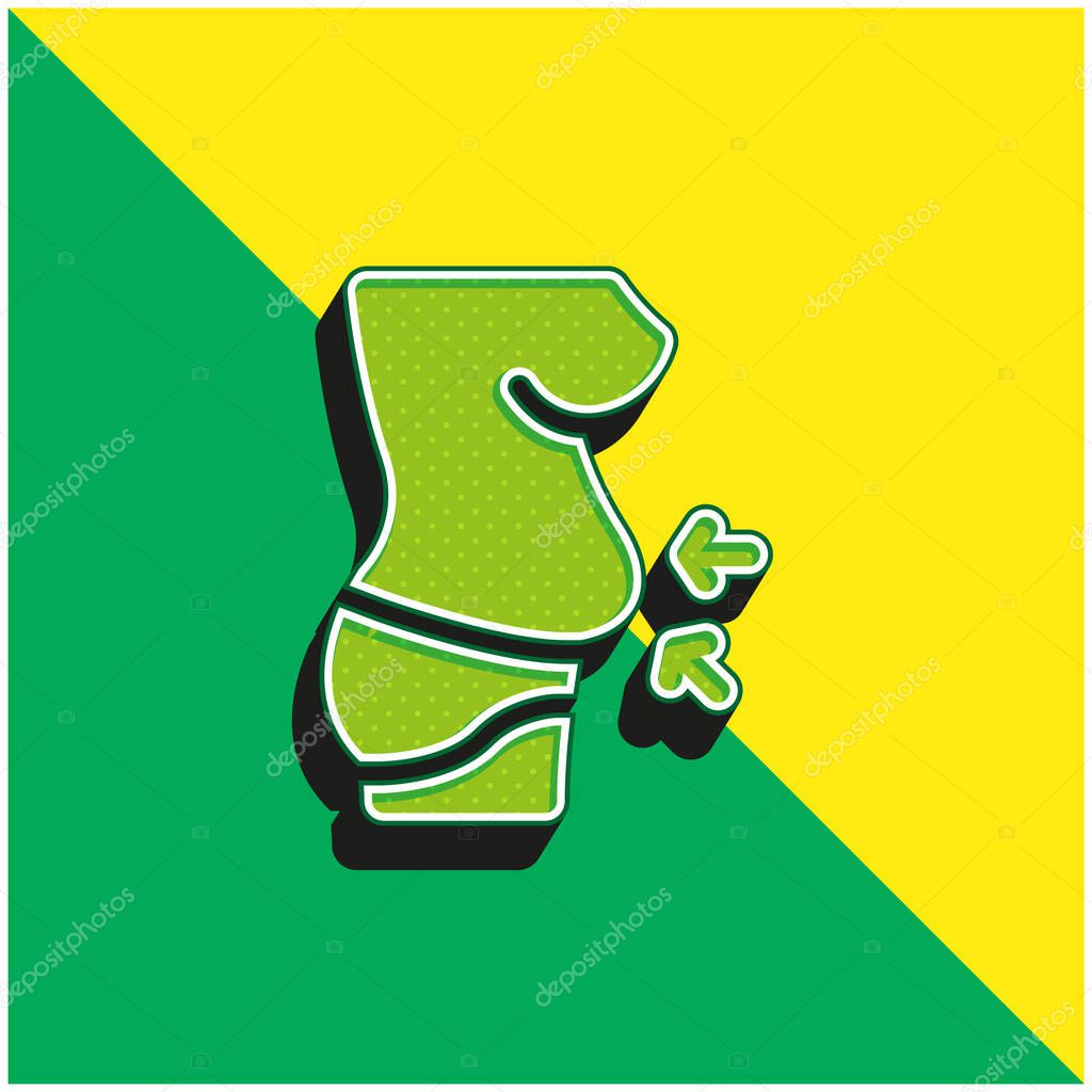 Belly Green and yellow modern 3d vector icon logo
