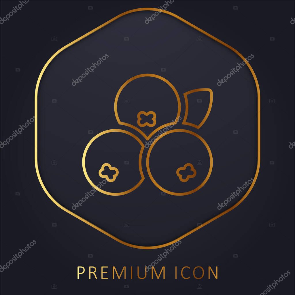 Acai golden line premium logo or icon