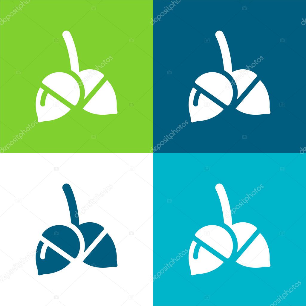 Acorn Flat four color minimal icon set