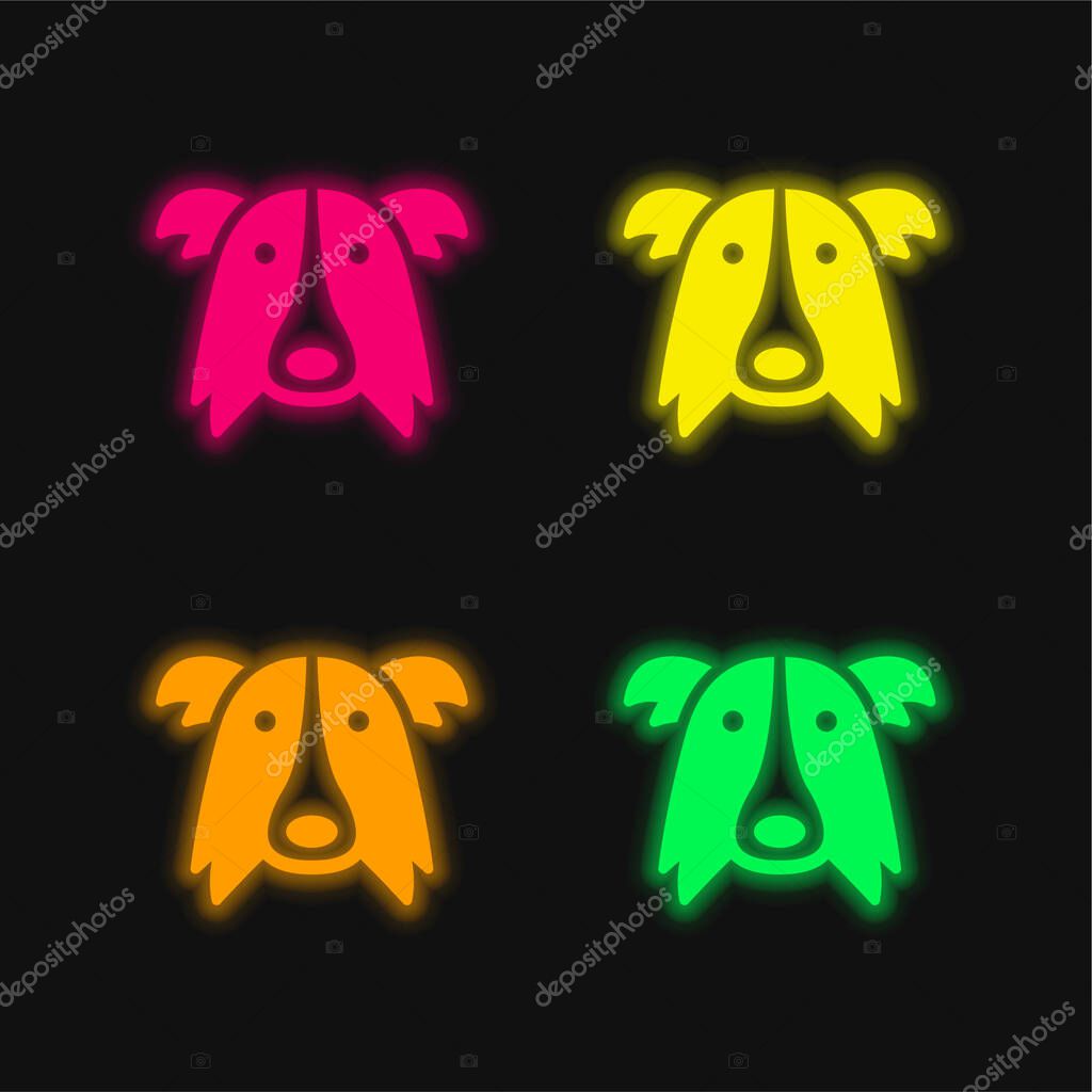 Border Collie Dog Head four color glowing neon vector icon