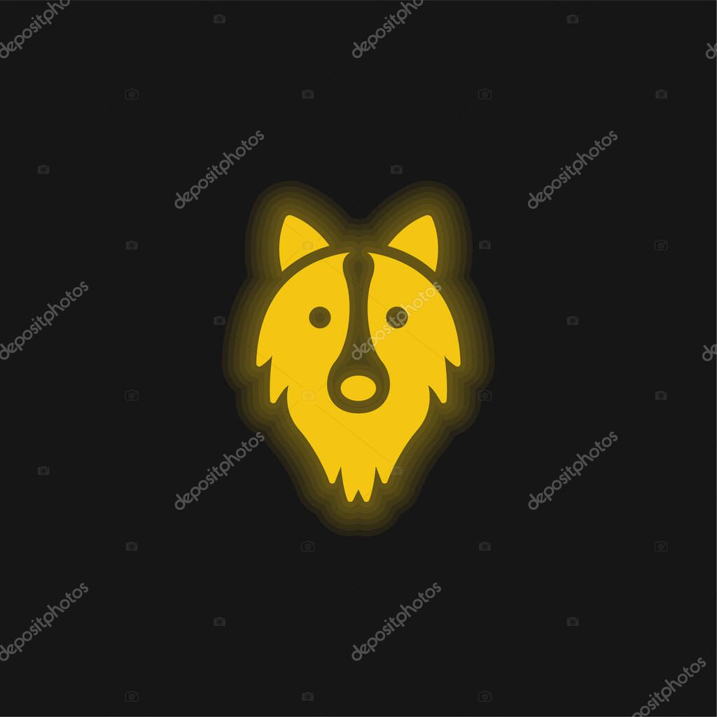 Border Collie Head yellow glowing neon icon