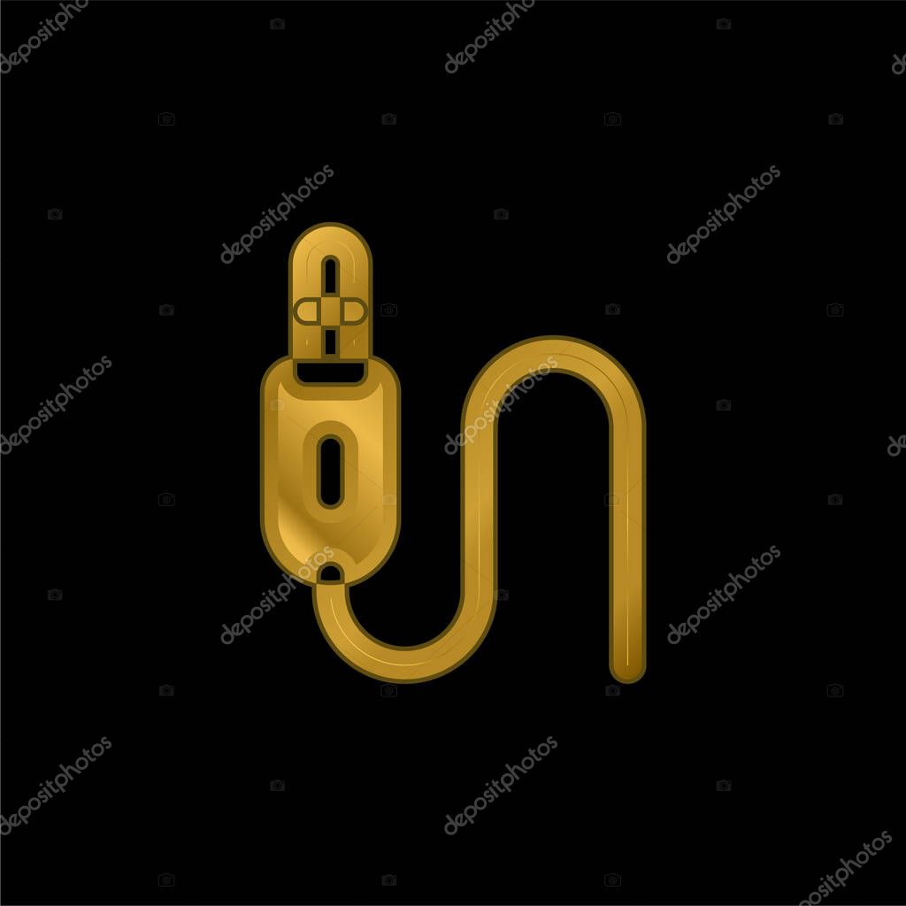 Audio Jack gold plated metalic icon or logo vector