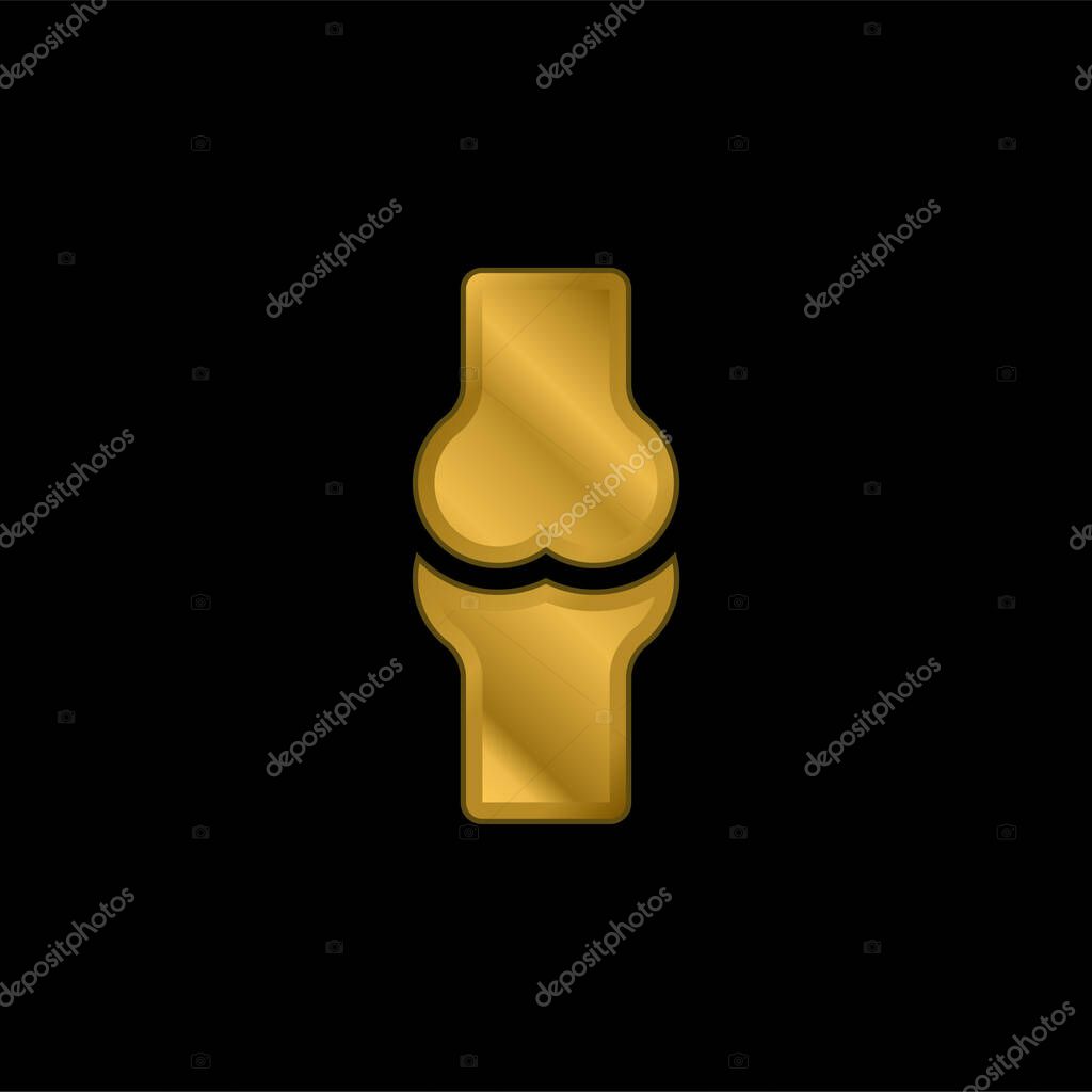 Bone gold plated metalic icon or logo vector