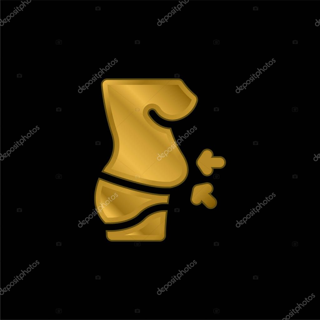 Belly gold plated metalic icon or logo vector