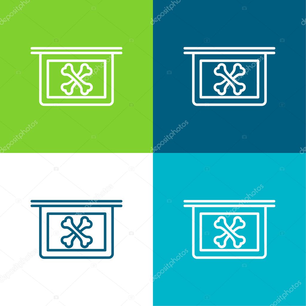 Bones X Ray Vision Flat four color minimal icon set