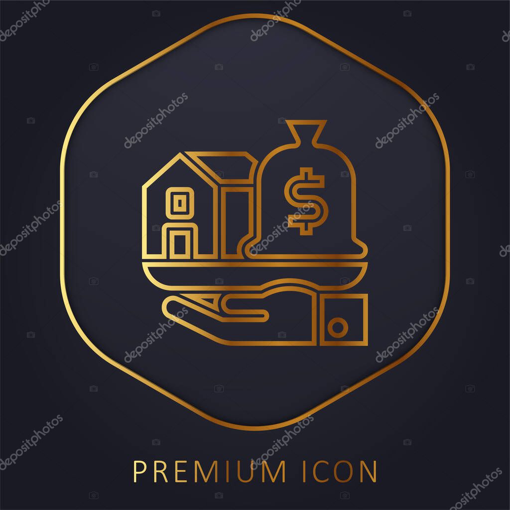 Asset golden line premium logo or icon