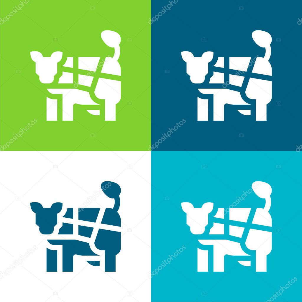 Beef Flat four color minimal icon set