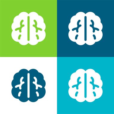 Beyin Düzlüğü 4 renk en küçük simge kümesi