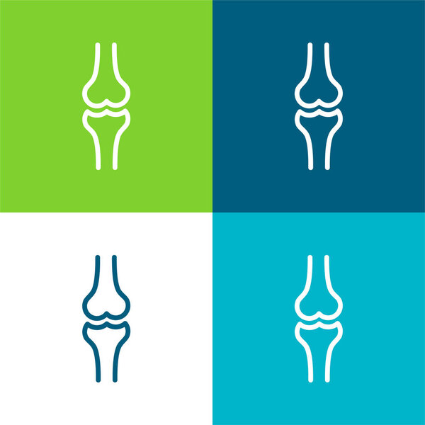 Ball Of The Knee Flat four color minimal icon set