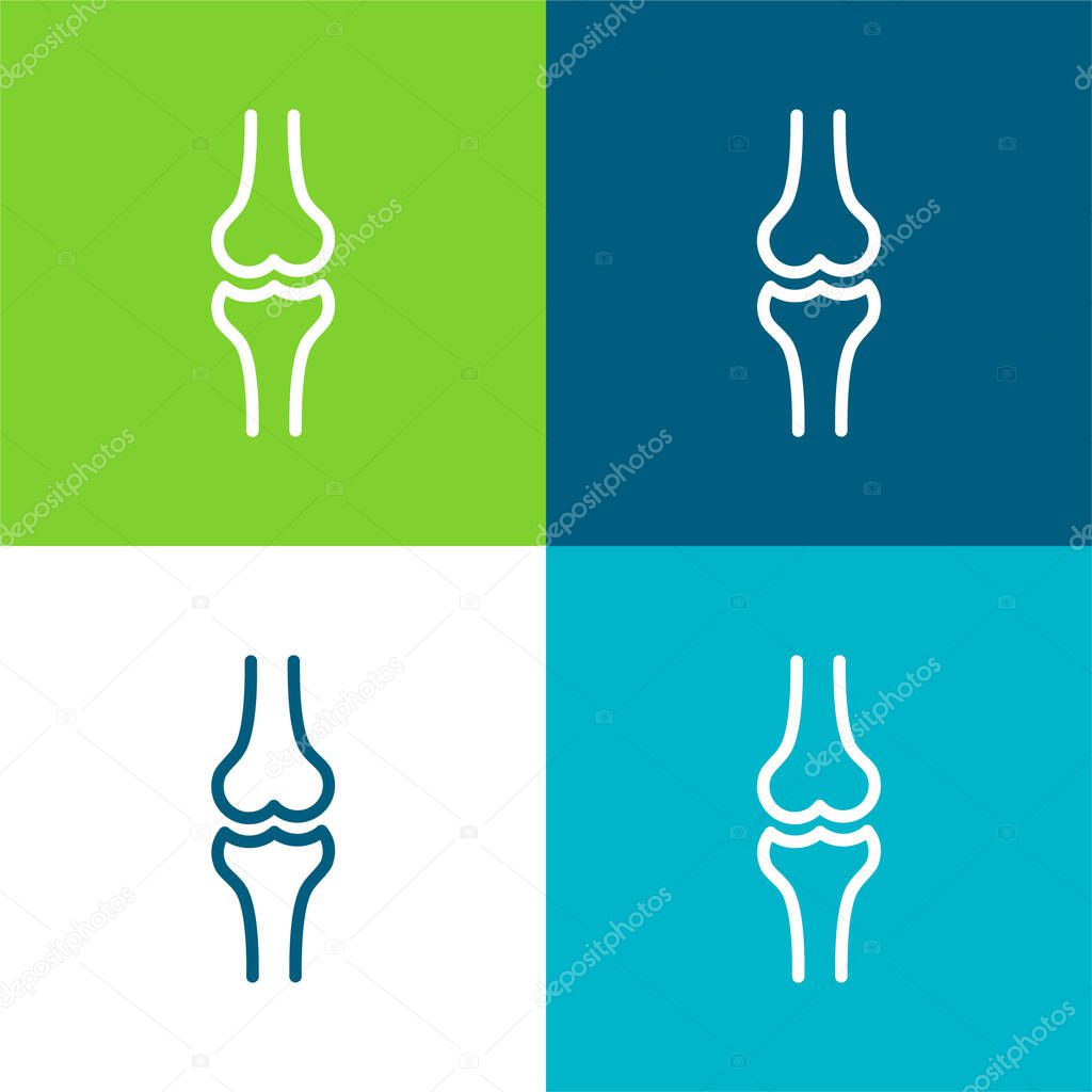 Ball Of The Knee Flat four color minimal icon set